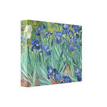 Irises Canvas Print