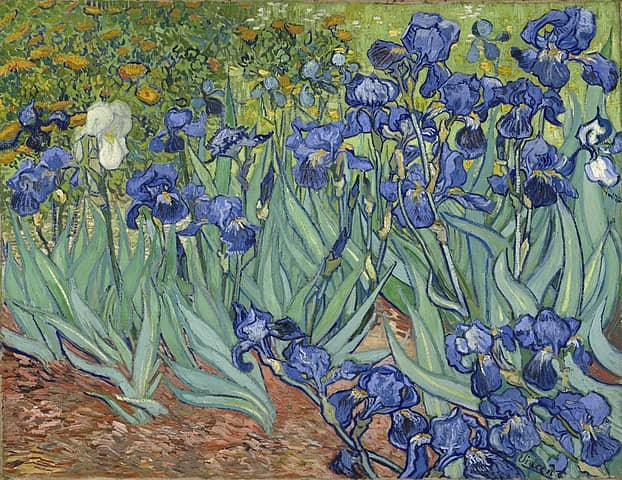 Irises Painting